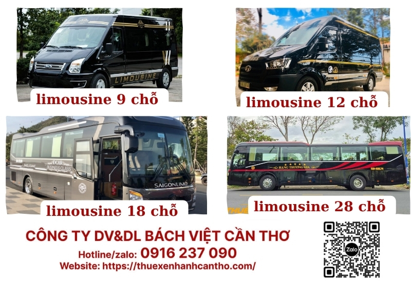 Các loại xe limousine tại Phan Thiết đa dạng lựa chọn, phù hợp mọi nhu cầu di chuyển khác nhau